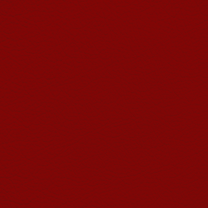 Jaguar Red Zone Leather Dye