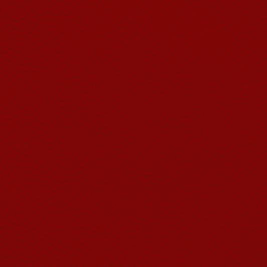 Jaguar Red Zone Leather Dye