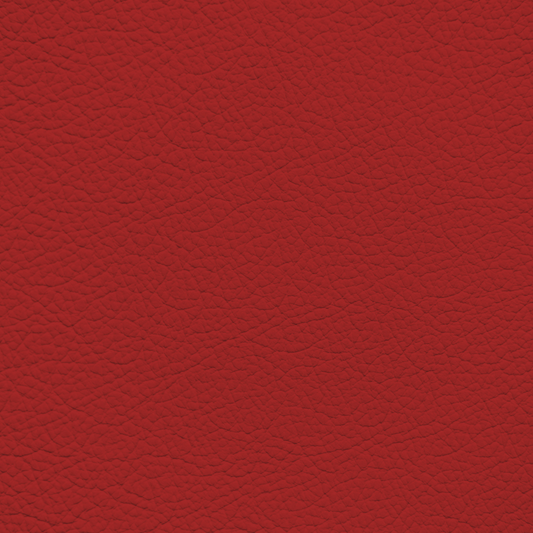 Mercedes Red Leather Dye