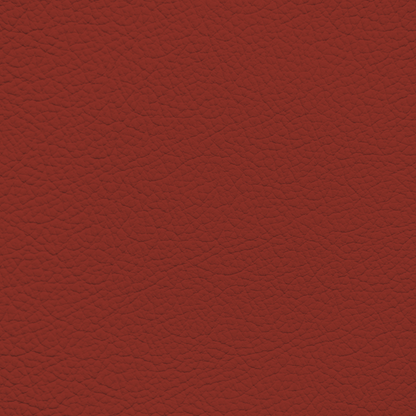 Ford/Lincoln/Mercury Redline Leather Dye