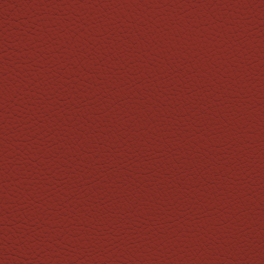 Ford/Lincoln/Mercury Redline Leather Dye