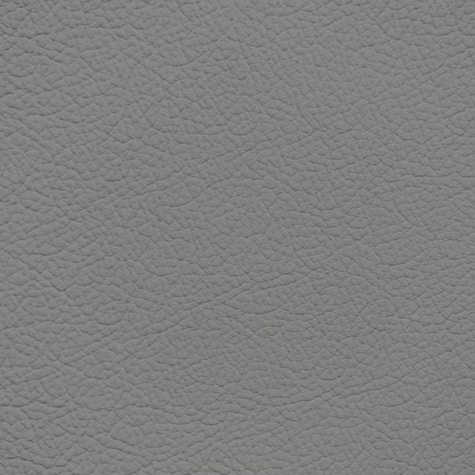 Mercedes Riff Gray Leather Dye