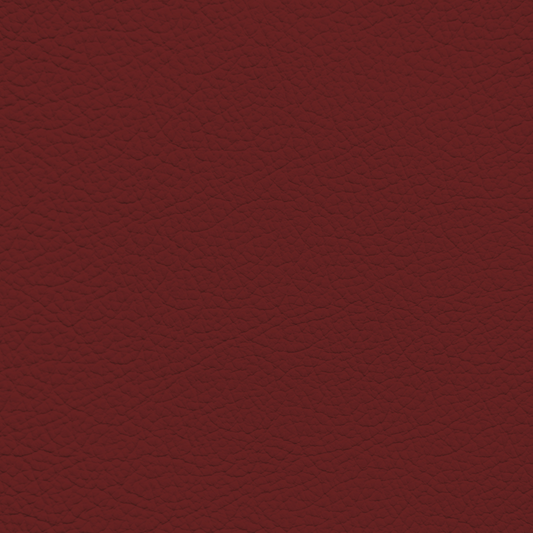 Lexus Rioja Red Leather Dye