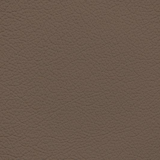 Ford/Lincoln/Mercury Roast Leather Dye