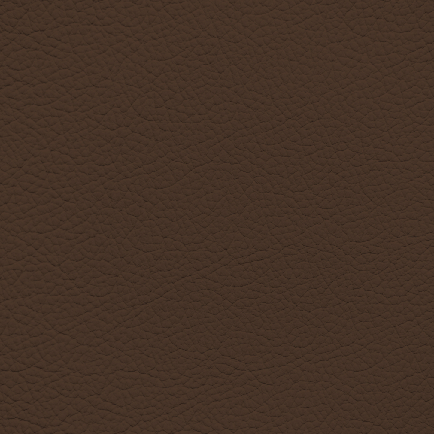 Audi Roast Brown Leather Dye