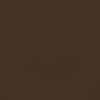 Audi Roast Brown Leather Dye