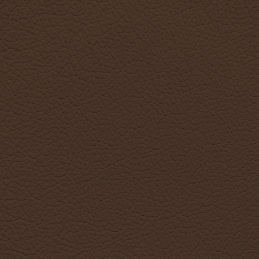 Audi Roast Brown Leather Dye