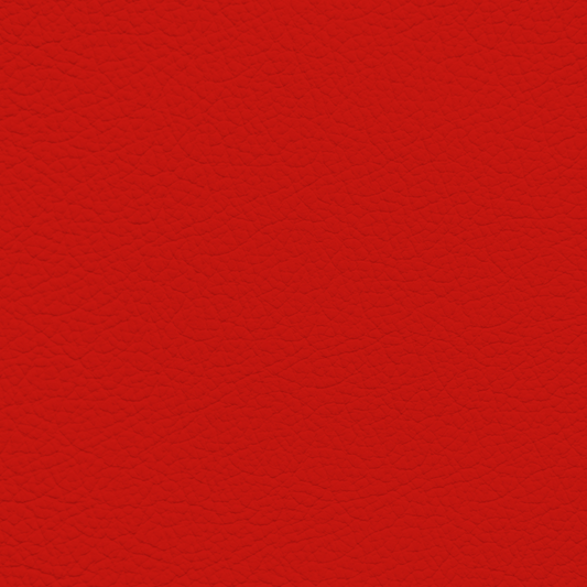 Porsche Rosso Red Leather Dye