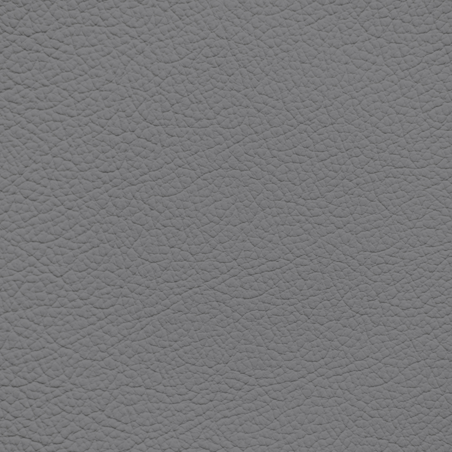 Audi Rotor Grey Leather Dye – Leather World Technologies