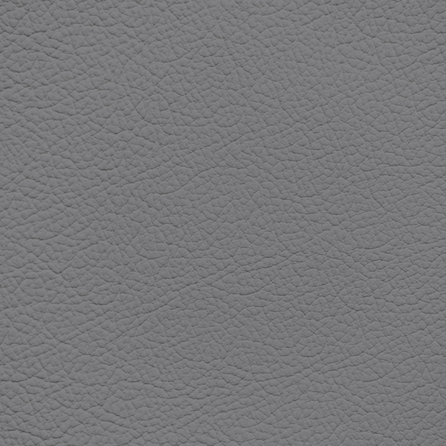 Audi Rotor Grey Leather Dye