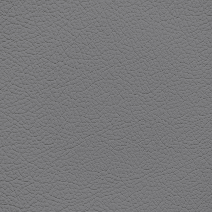 Audi Rotor Grey Leather Dye