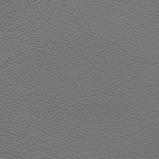 Audi Rotor Grey Leather Dye