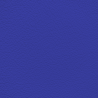 Mercedes Royal Blue Leather Dye