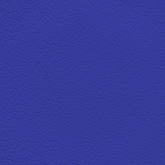 Mercedes Royal Blue Leather Dye