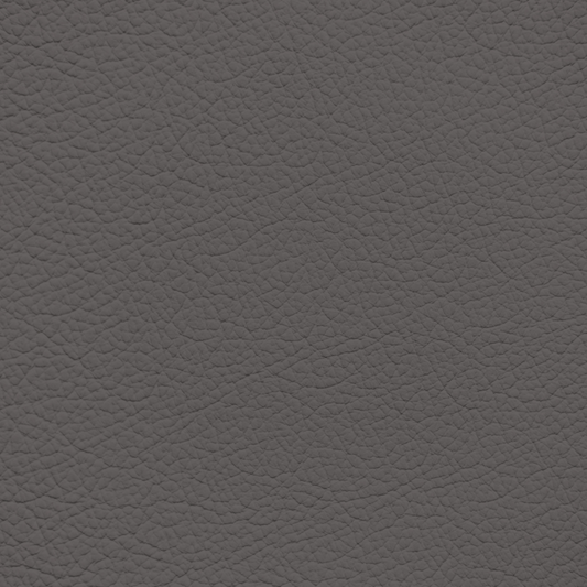 Porsche Rubugan Grey Leather Dye