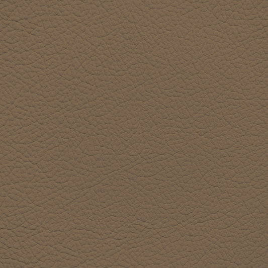 Infiniti Russet Leather Dye