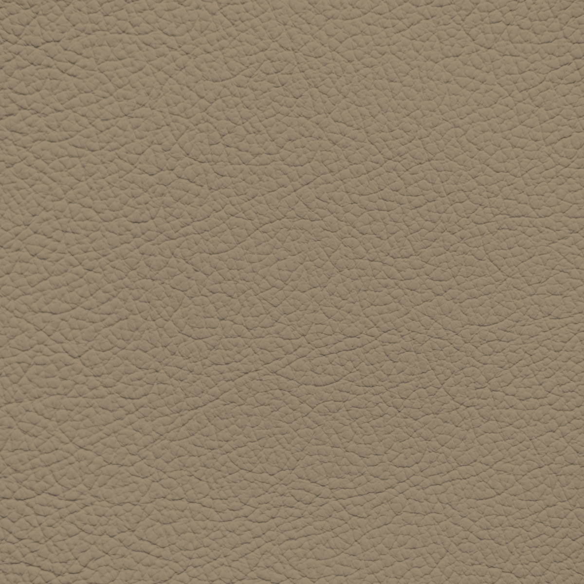 Jaguar Sable Leather Dye