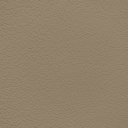 Jaguar Sable Leather Dye