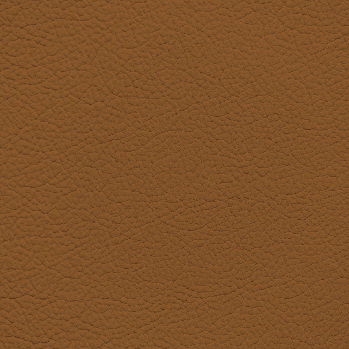 BMW Saddle Brown Leather Dye – Leather World Technologies