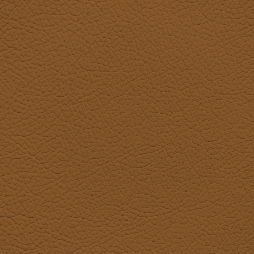 BMW Saddle Brown Leather Dye – Leather World Technologies