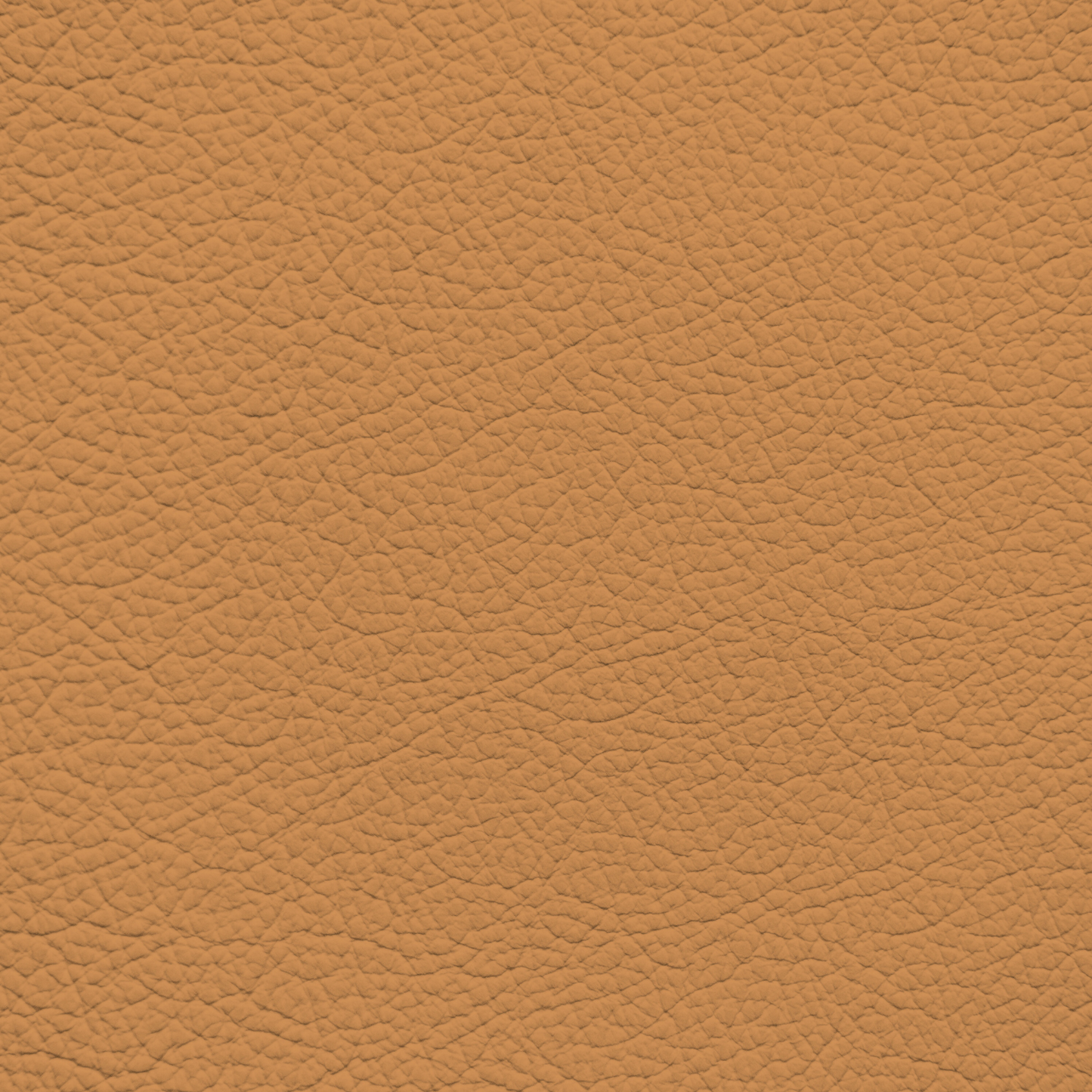 Jaguar Saddle Leather Dye