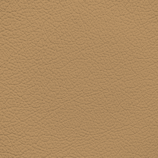 Ford/Lincoln/Mercury Saddle Leather Dye