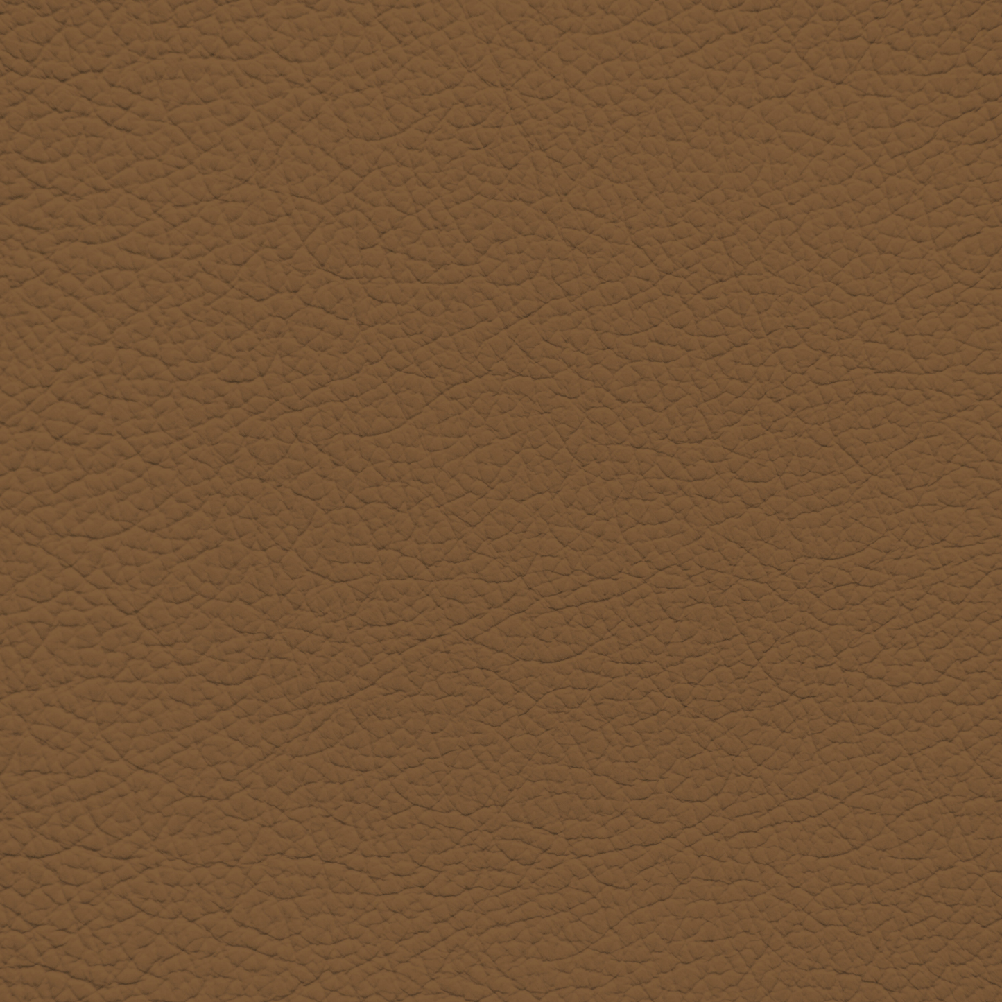 Mercedes Saddle Leather Dye