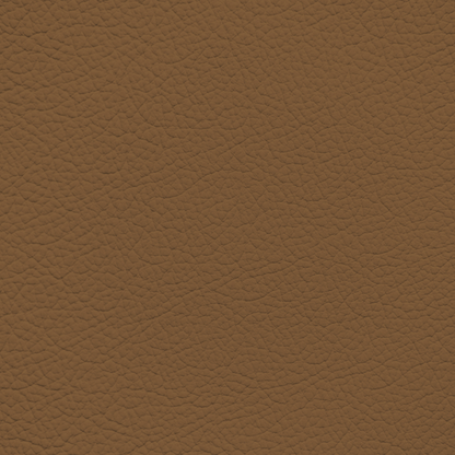 Mercedes Saddle Leather Dye