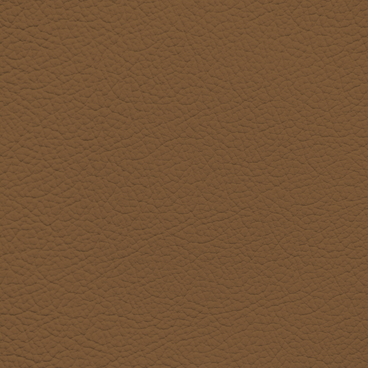 Mercedes Saddle Leather Dye