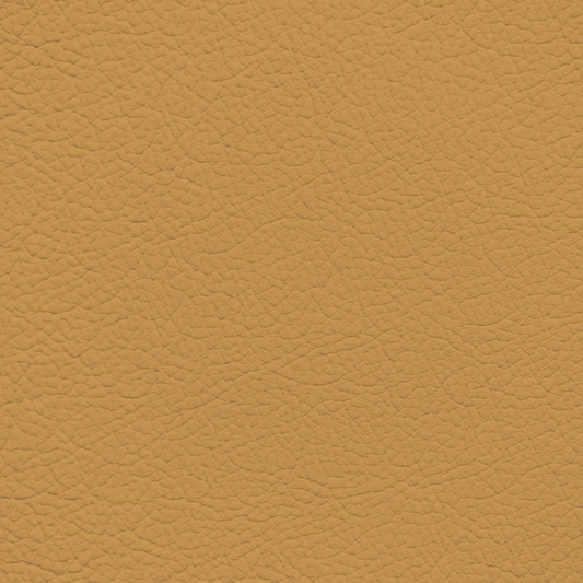 Porsche Saddle Leather Dye