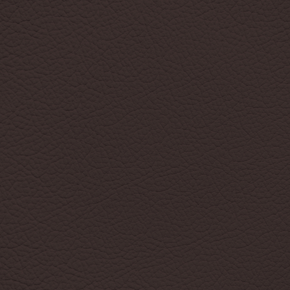 Mercedes Saddle Brown Leather Dye