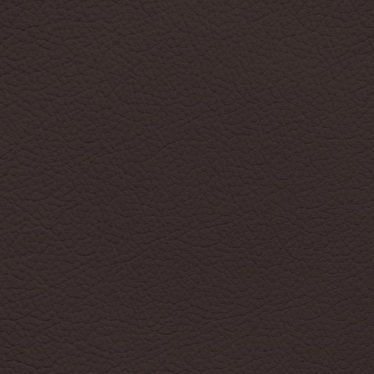 Mercedes Saddle Brown Leather Dye