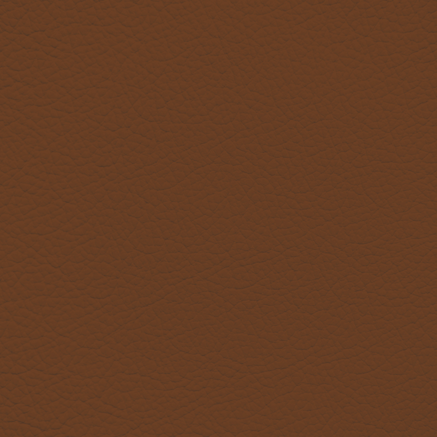 Lexus Saddle Leather Dye