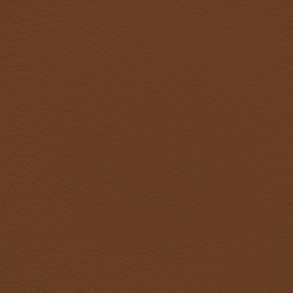 Lexus Saddle Leather Dye
