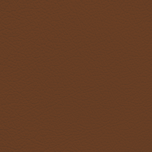 Lexus Saddle Leather Dye