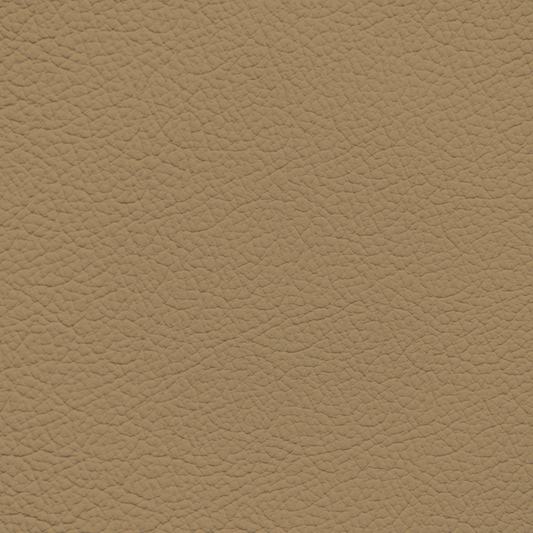 Nissan Saddle Leather Dye