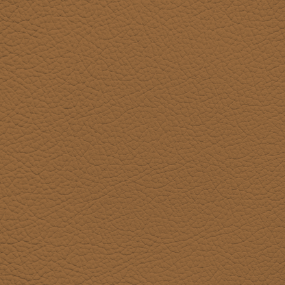 Mercedes Safran Leather Dye