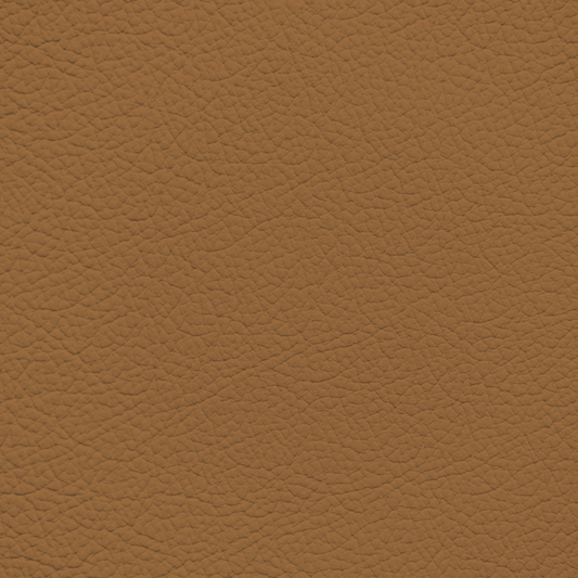 Mercedes Safran Leather Dye