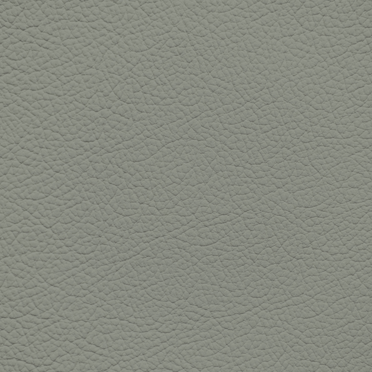 Lexus Sage Leather Dye