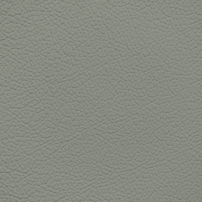 Lexus Sage Leather Dye