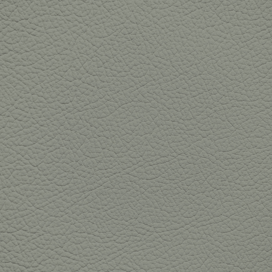 Lexus Sage Leather Dye