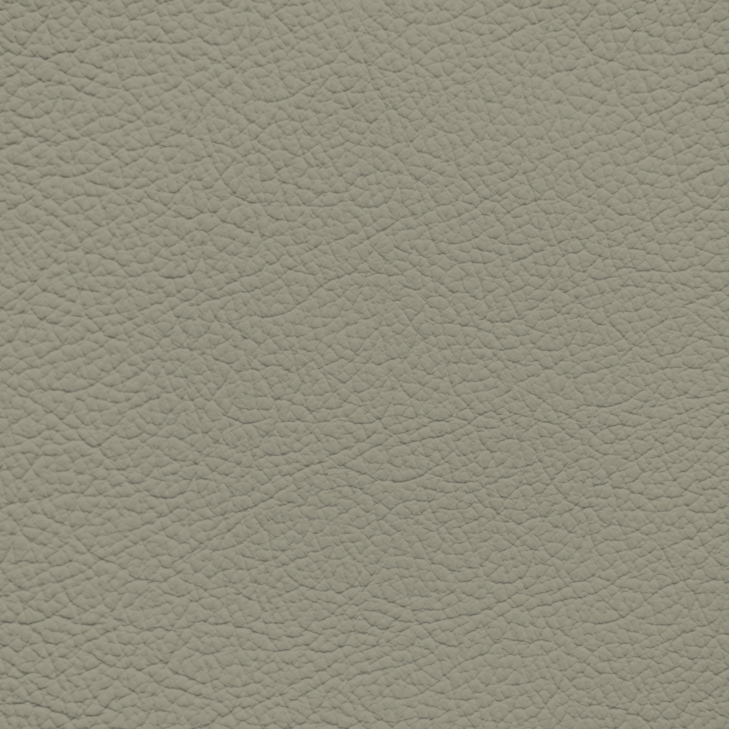 Infiniti Sage Gray Leather Dye