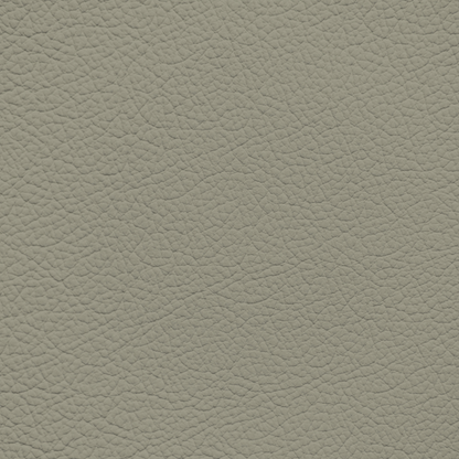 Infiniti Sage Gray Leather Dye