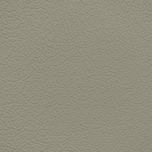 Nissan Sage Gray Leather Dye
