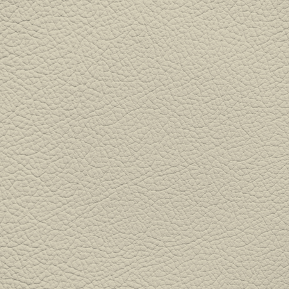 Mercedes Sahara Beige Leather Dye