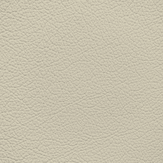 Mercedes Sahara Beige Leather Dye