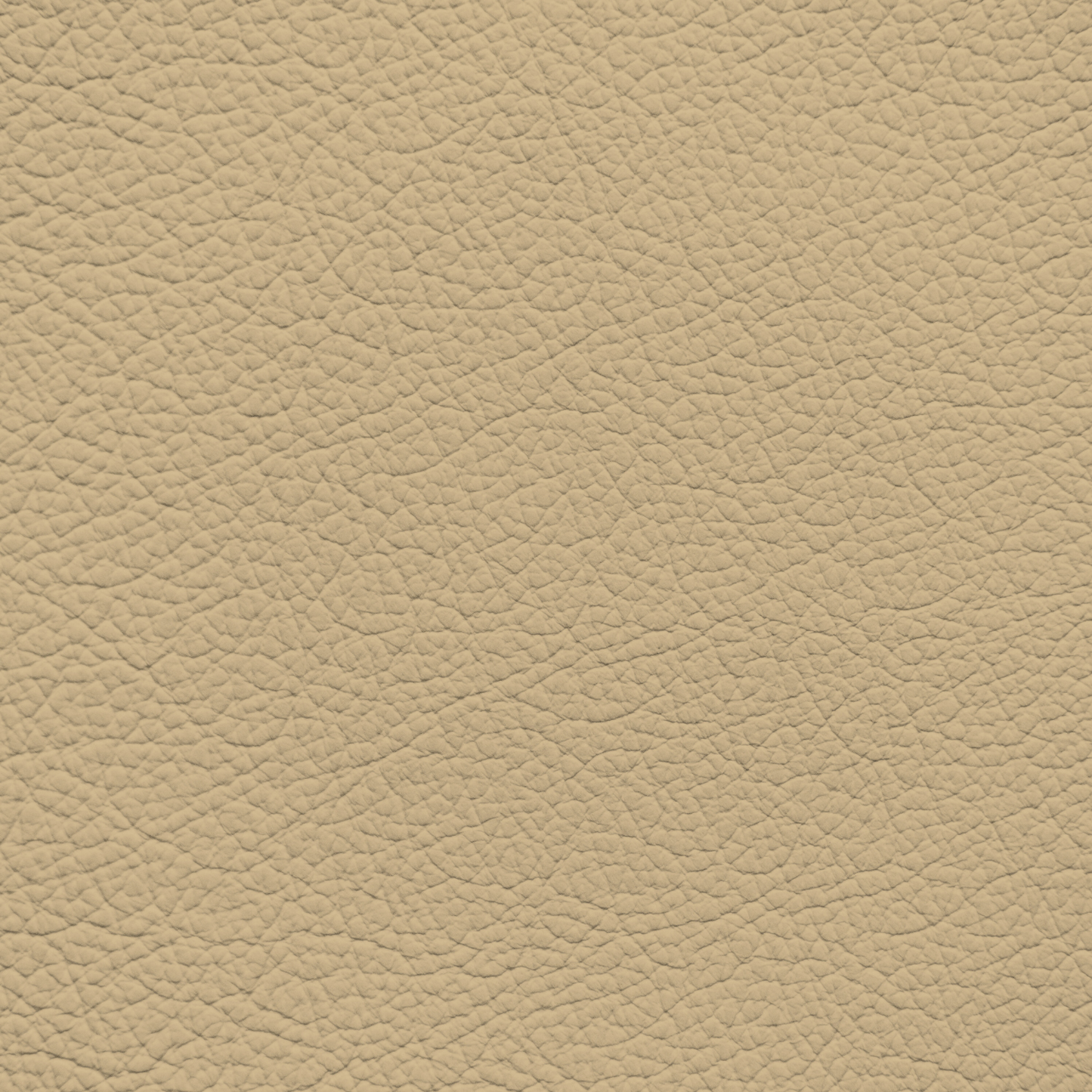 Audi Saiga Beige Leather Dye