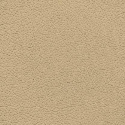 Audi Saiga Beige Leather Dye