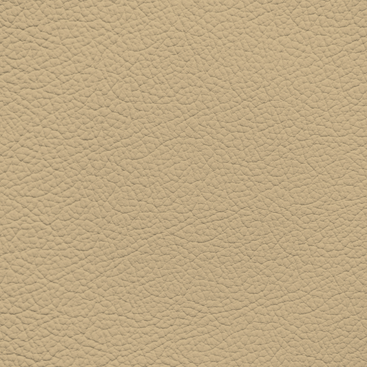 Audi Saiga Beige Leather Dye