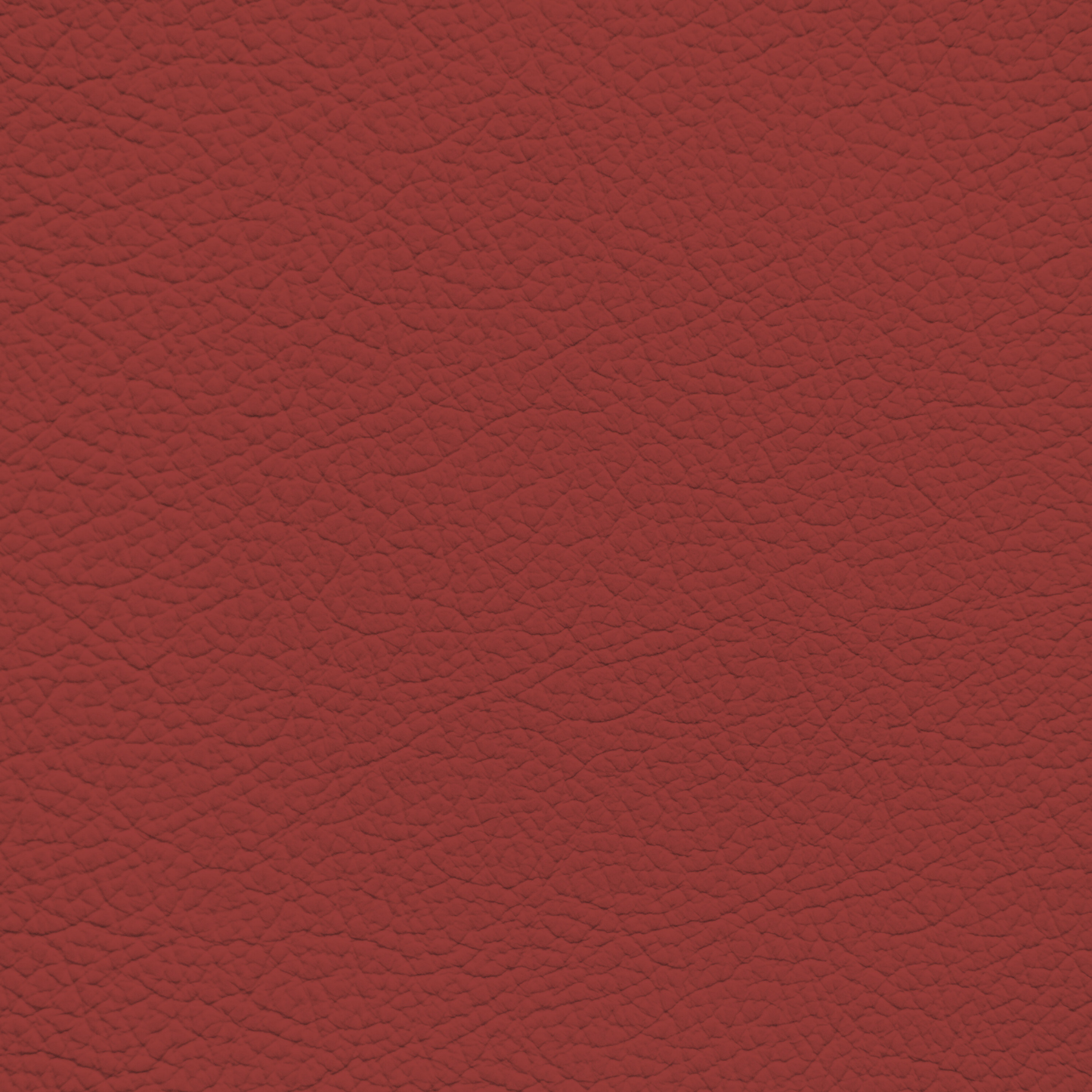 Mercedes Salsa Red Leather Dye